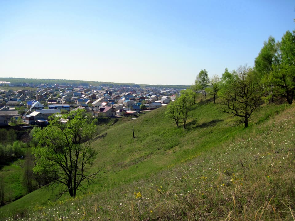 Вид на Бавлы с зелёного холма